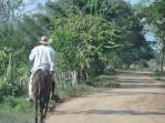 Transporte por burro, muito comum na estrada entre Astrea e Mompós, na Colômbia